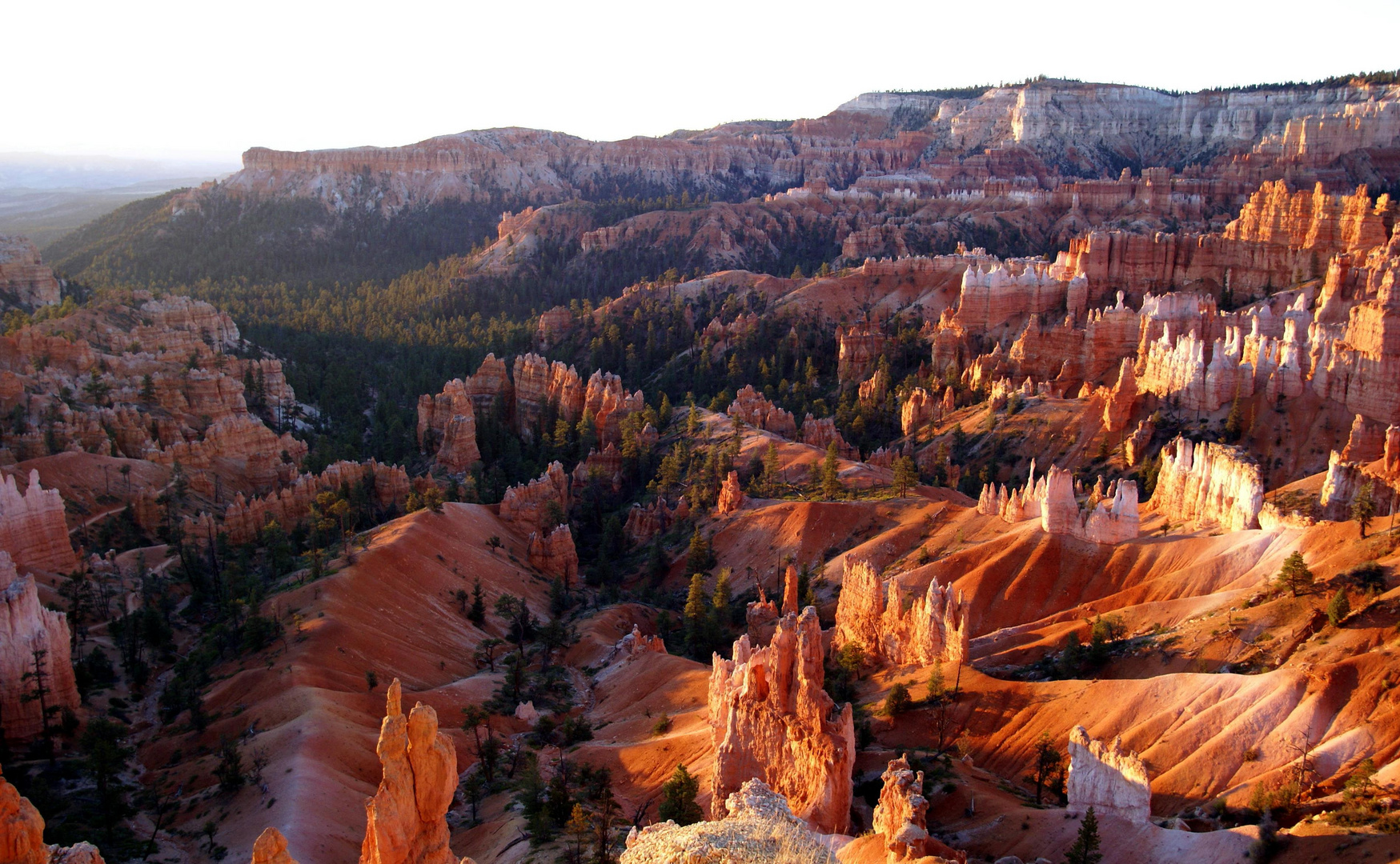 Bryce bei Tagesanbruch