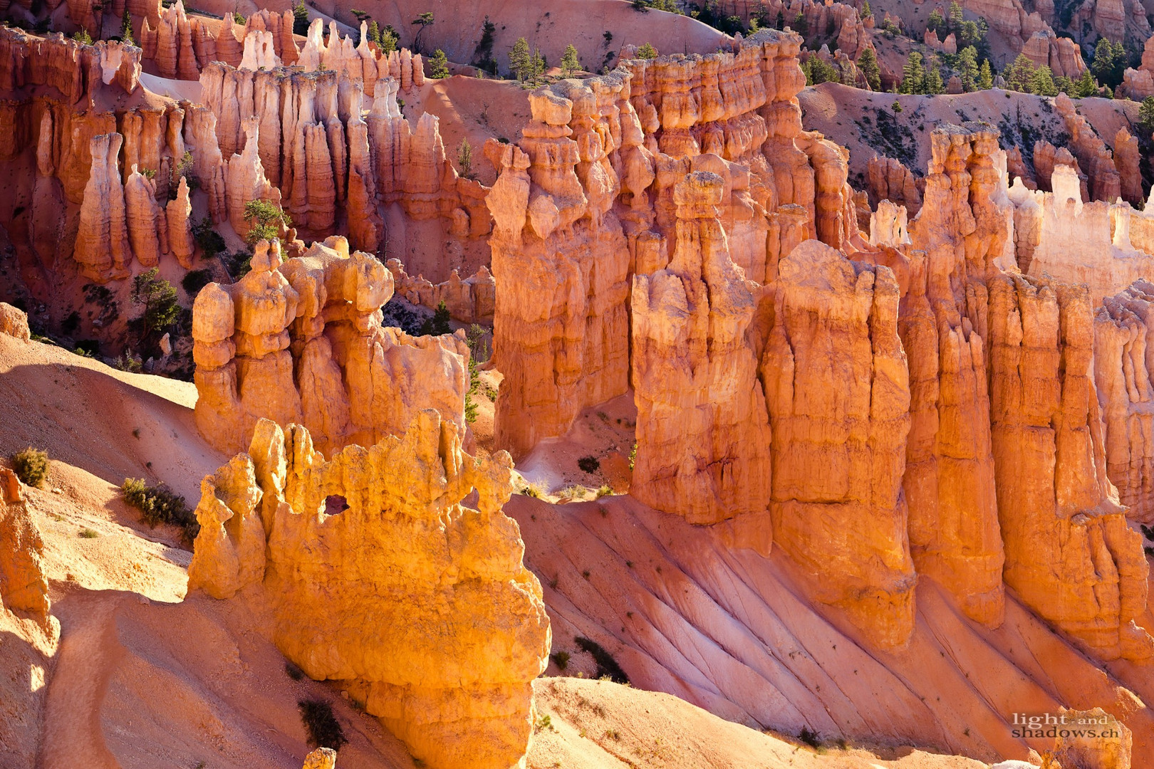 Bryce Cannon am Morgen, Herbst 2011