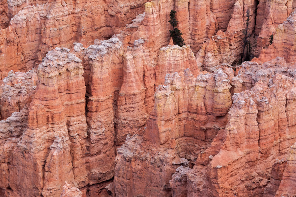 Bryce Canyon 01