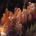 Bryce-Canyon