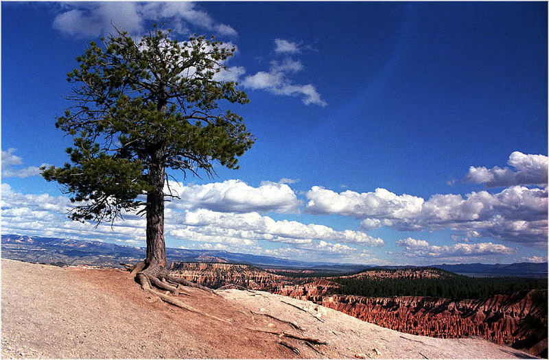 Bryce Canyon #02