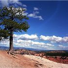 Bryce Canyon #02