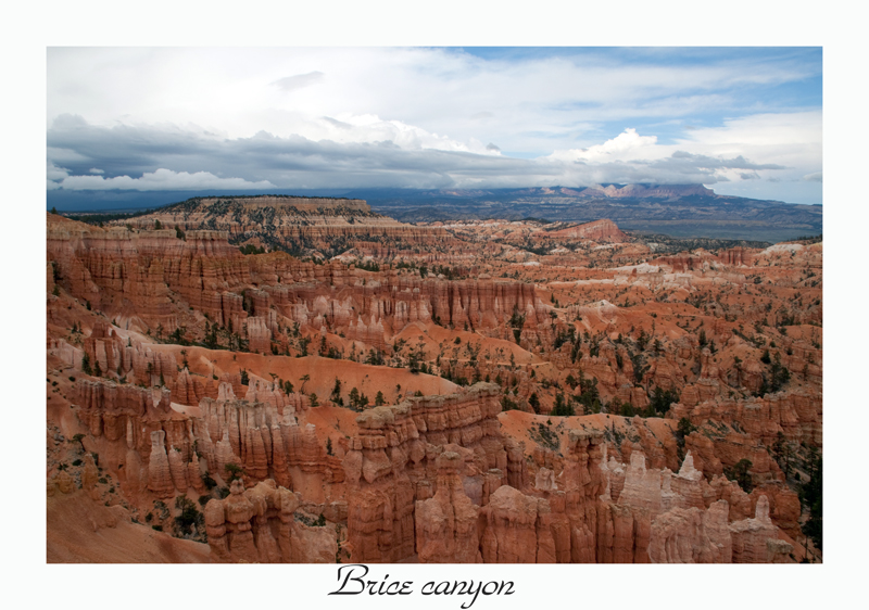 Bryce canyon