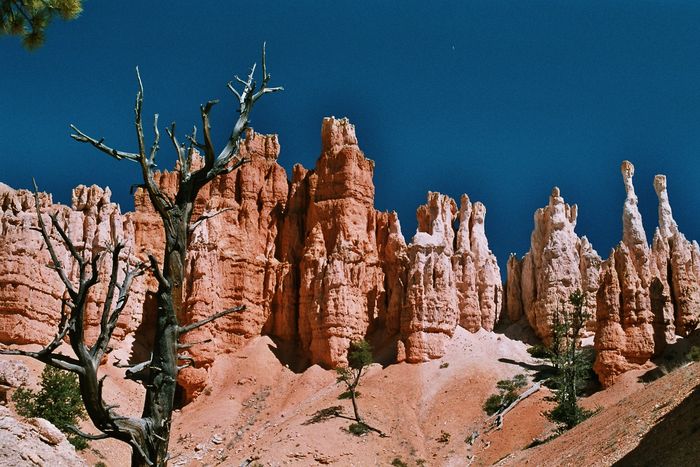 Bryce Canyon