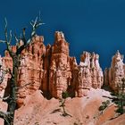 Bryce Canyon