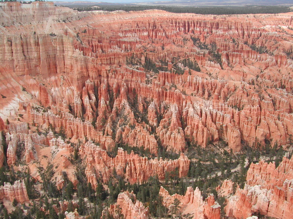 Bryce Canyon.