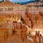 Bryce Canyon 1