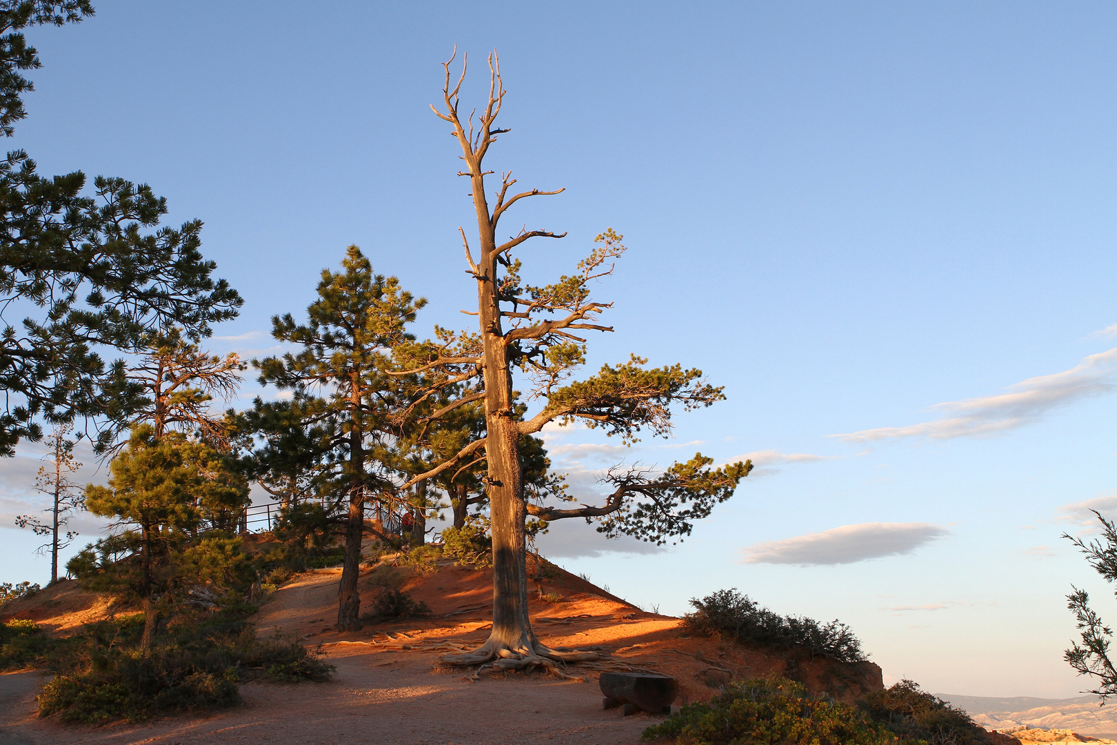 Bryce Canyon 1