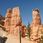 Bryce Canyon 1