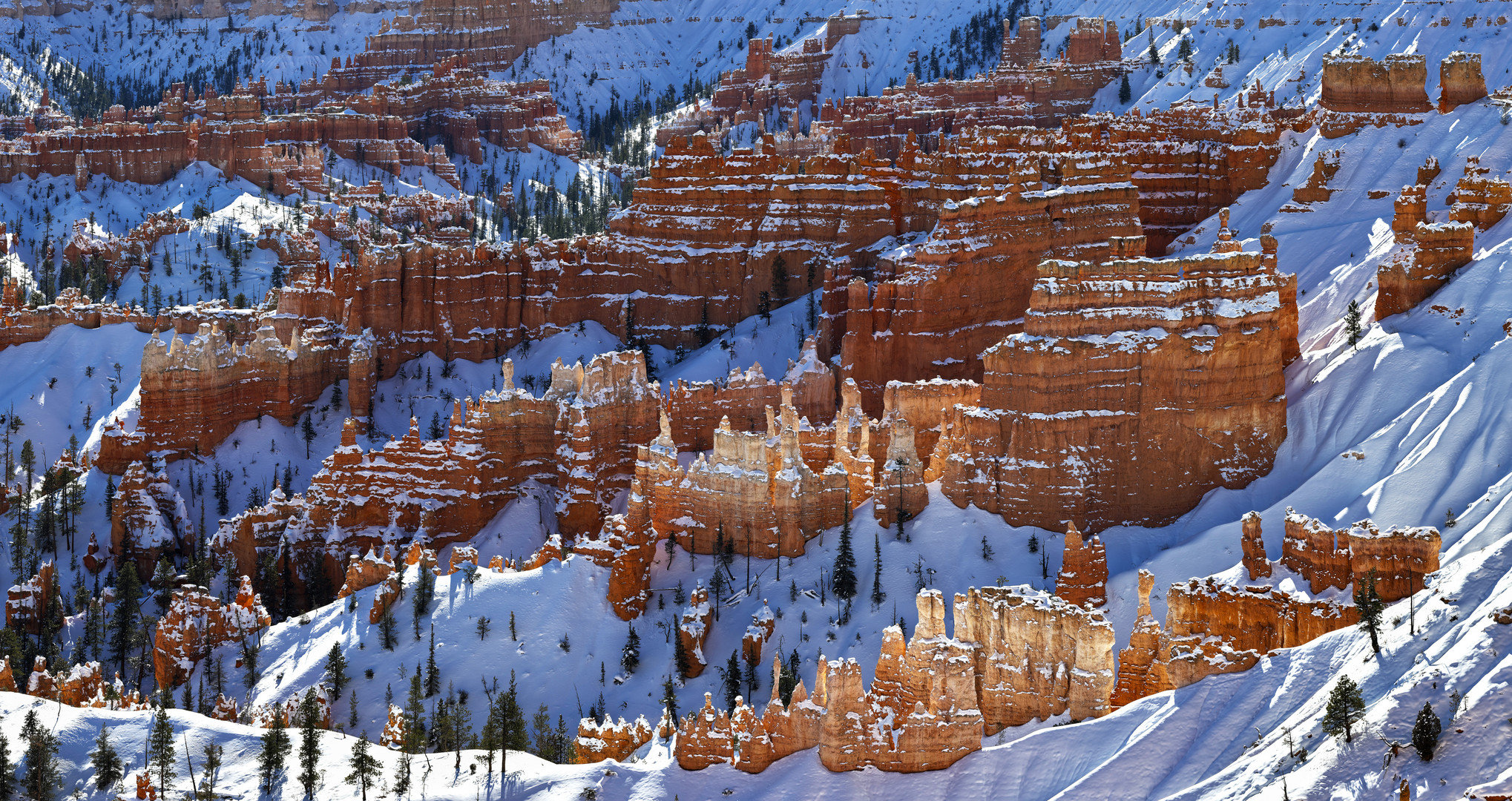 Bryce Canyon #1