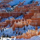 Bryce Canyon #1