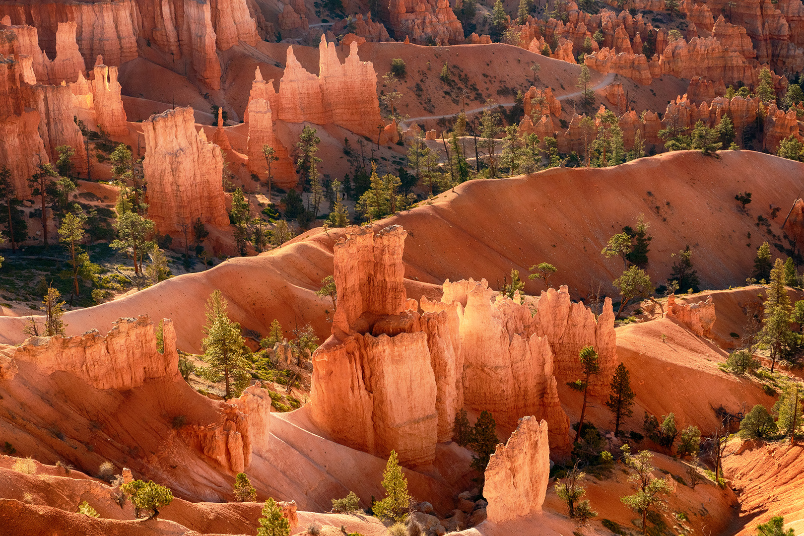 Bryce Canyon 1