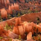 Bryce Canyon 1