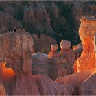 Bryce Canyon 1