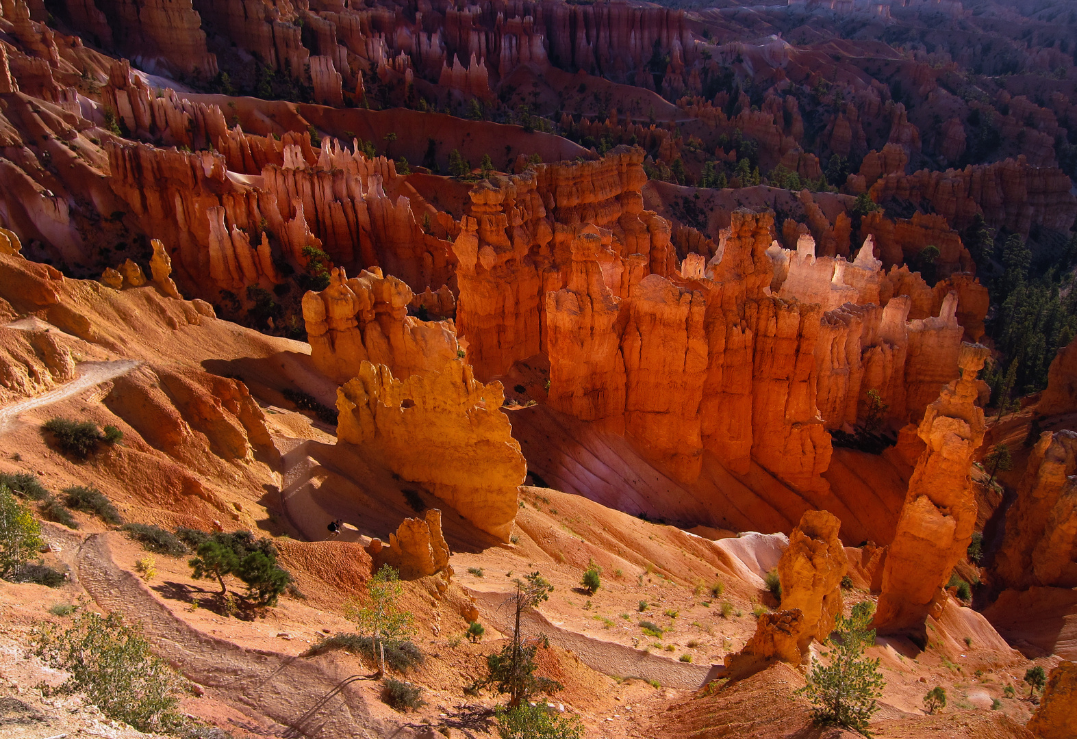 Bryce Canyon