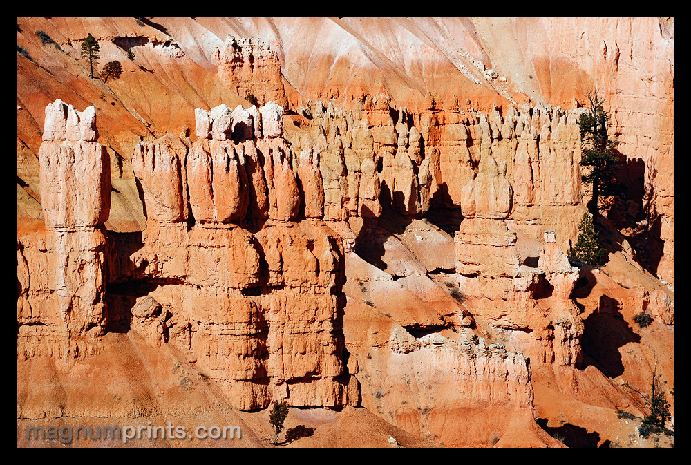 ..:: BRYCE CANYON ::..