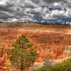 Bryce Canyon