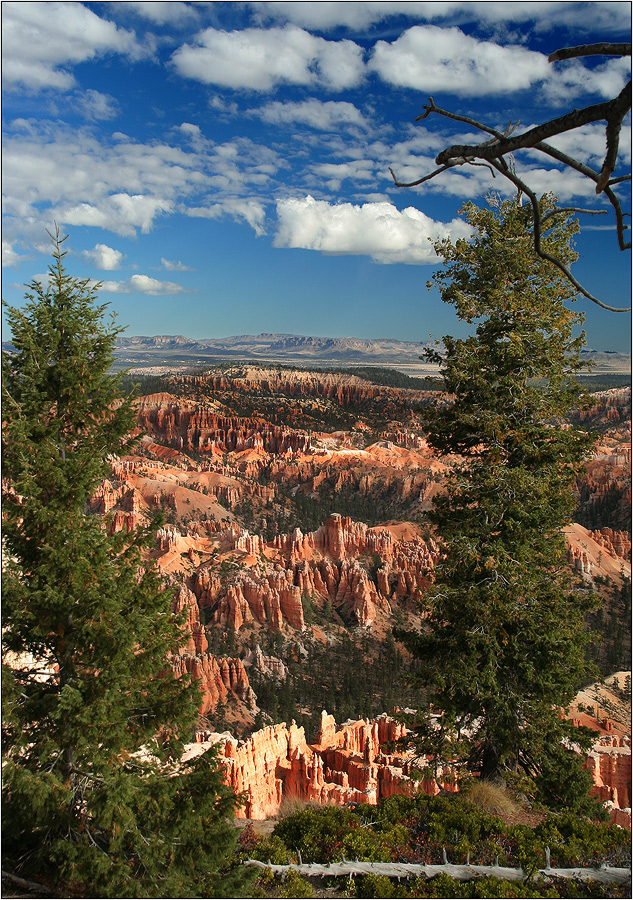 Bryce Canyon