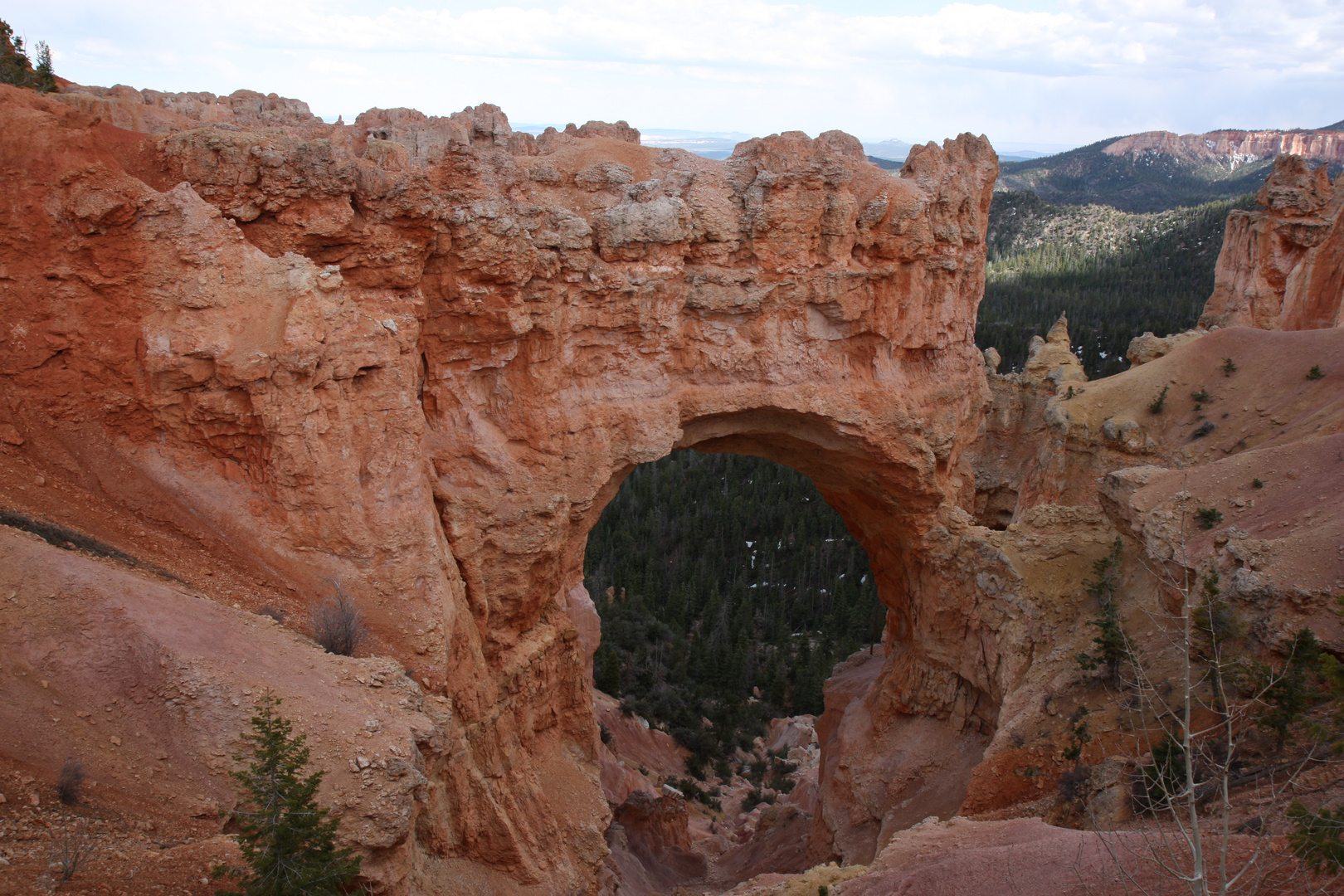 Bryce Canyon 2