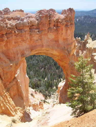 Bryce Canyon 2