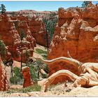 Bryce Canyon 2