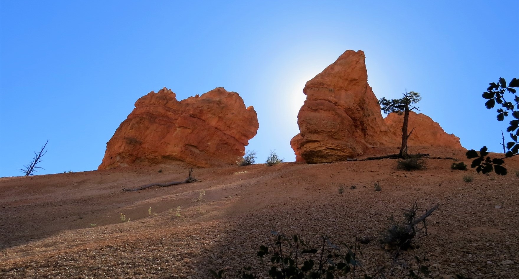 Bryce Canyon