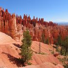 Bryce Canyon 2005