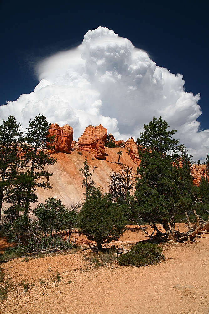 Bryce Canyon 2007