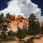 Bryce Canyon 2007