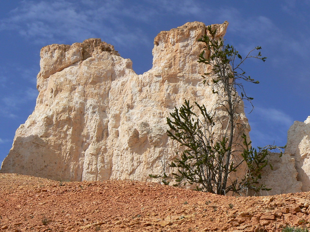 Bryce Canyon 2008