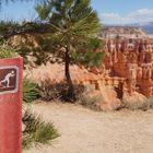 Bryce Canyon