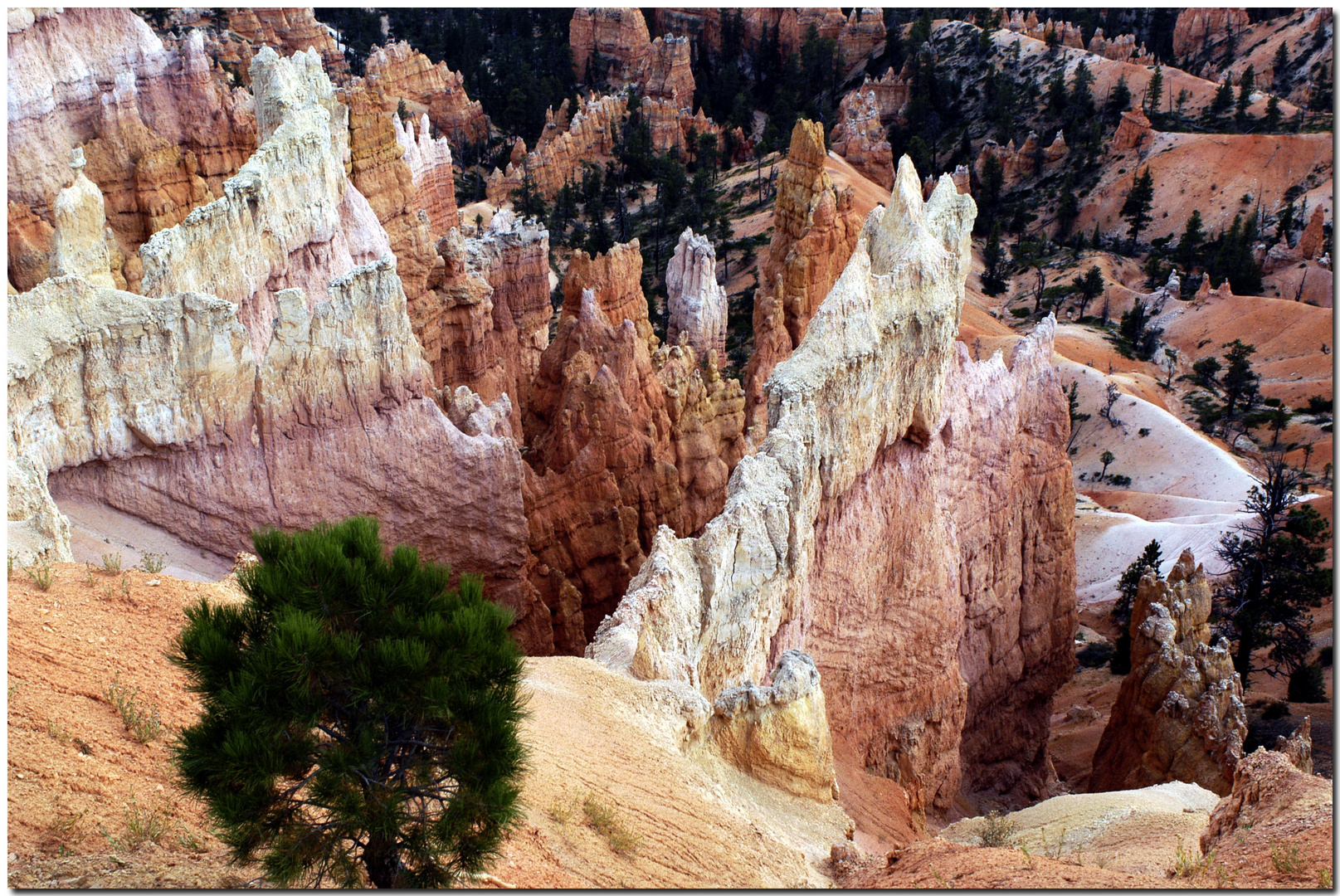 Bryce Canyon