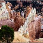 Bryce Canyon