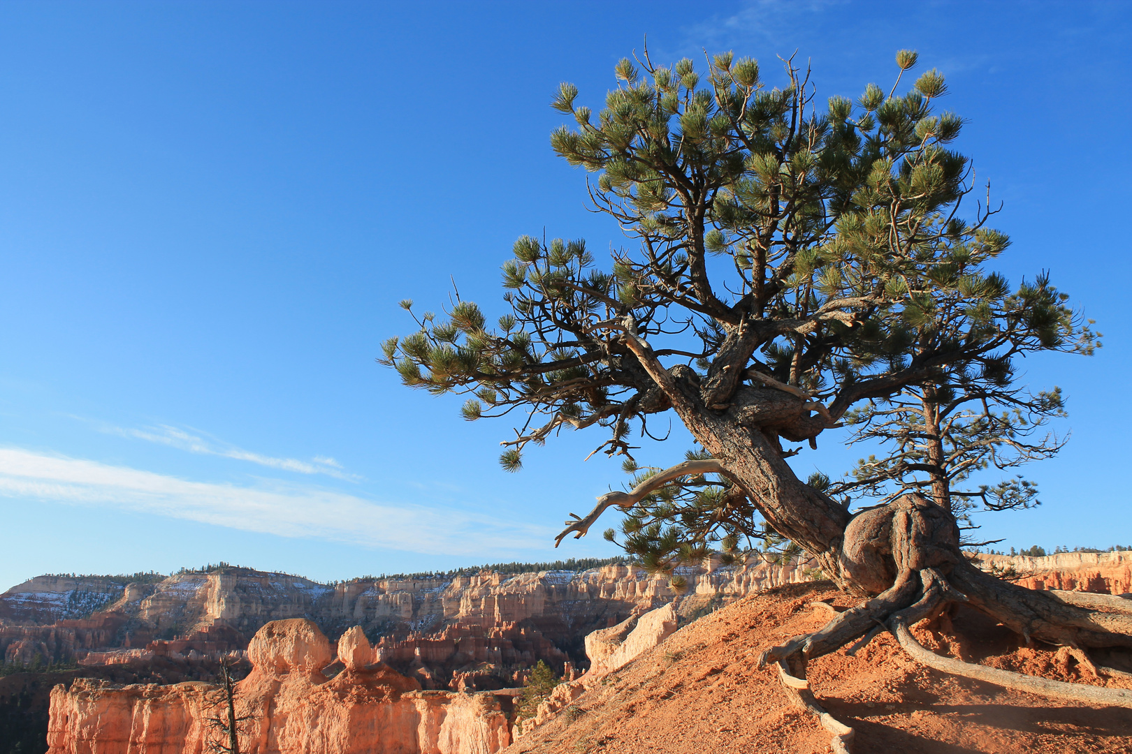 Bryce Canyon