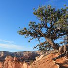 Bryce Canyon