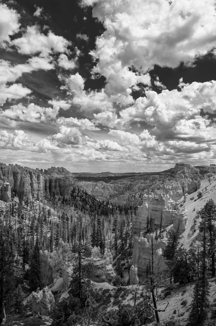 Bryce Canyon