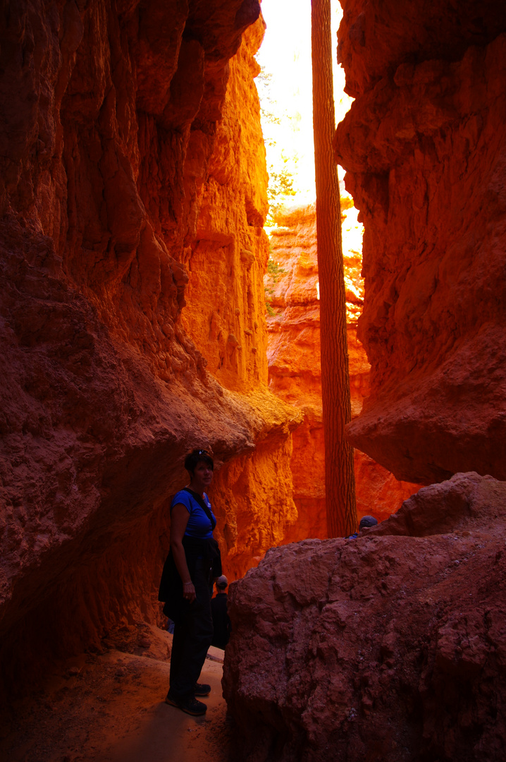 Bryce Canyon