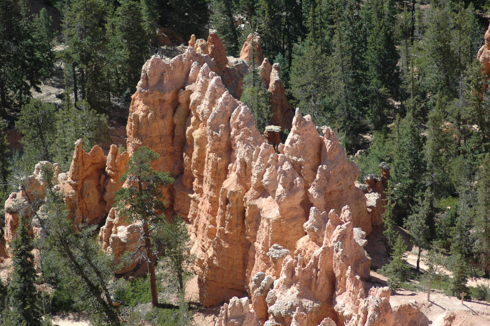 Bryce canyon