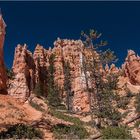 Bryce Canyon #3