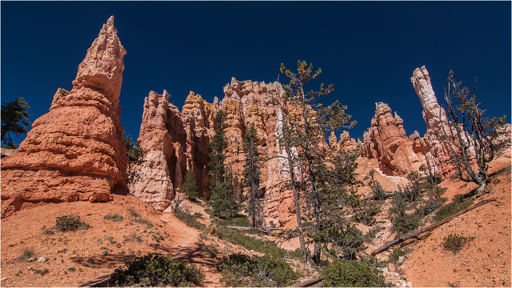 Bryce Canyon #3