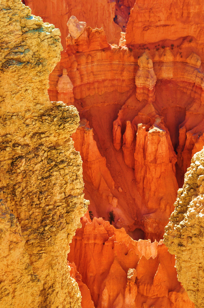 Bryce Canyon 3, sep 2010