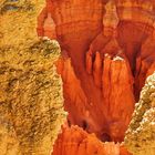 Bryce Canyon 3, sep 2010