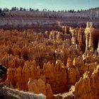 Bryce Canyon 