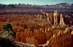 Bryce Canyon 