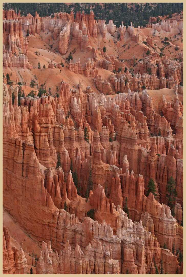 Bryce Canyon 33