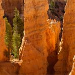 Bryce Canyon