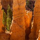 Bryce Canyon