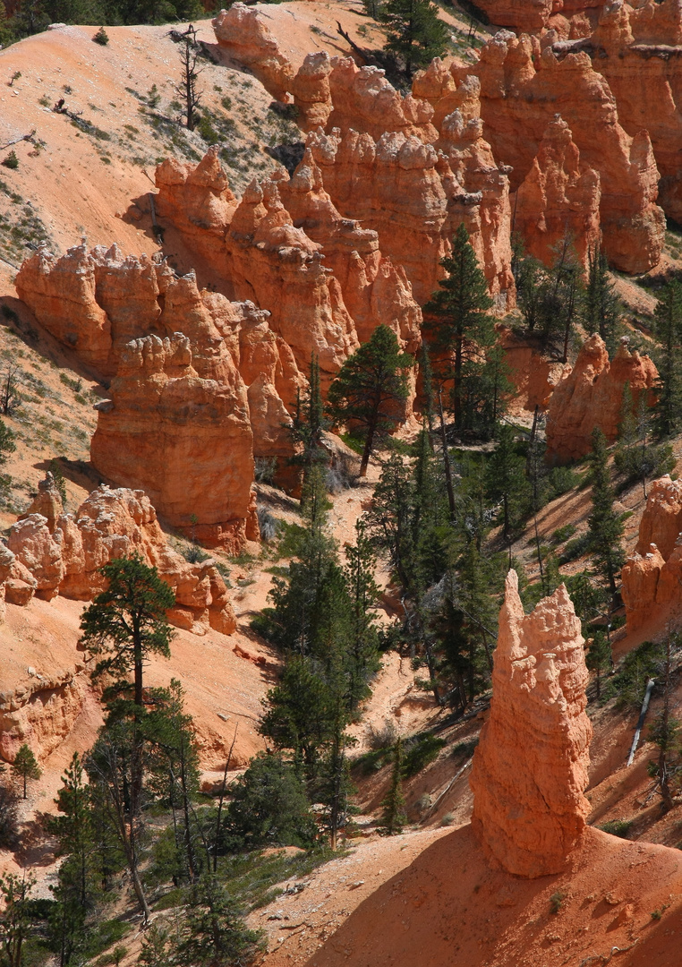 Bryce Canyon