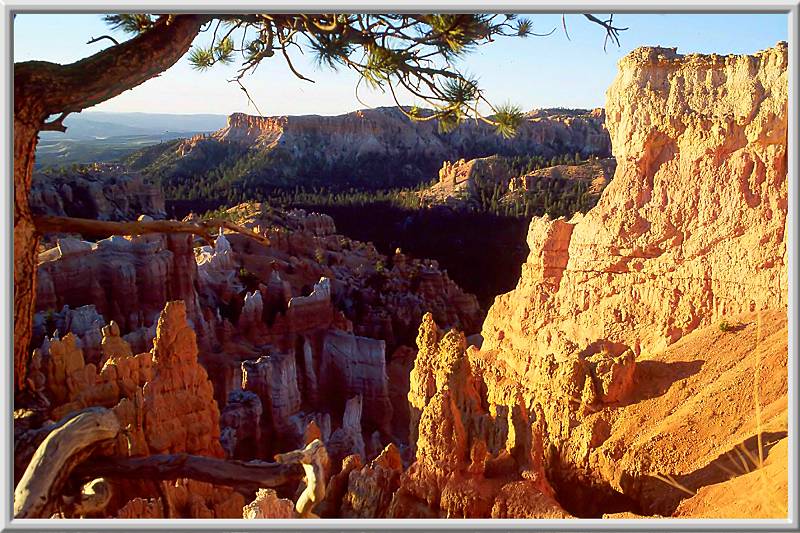 Bryce Canyon