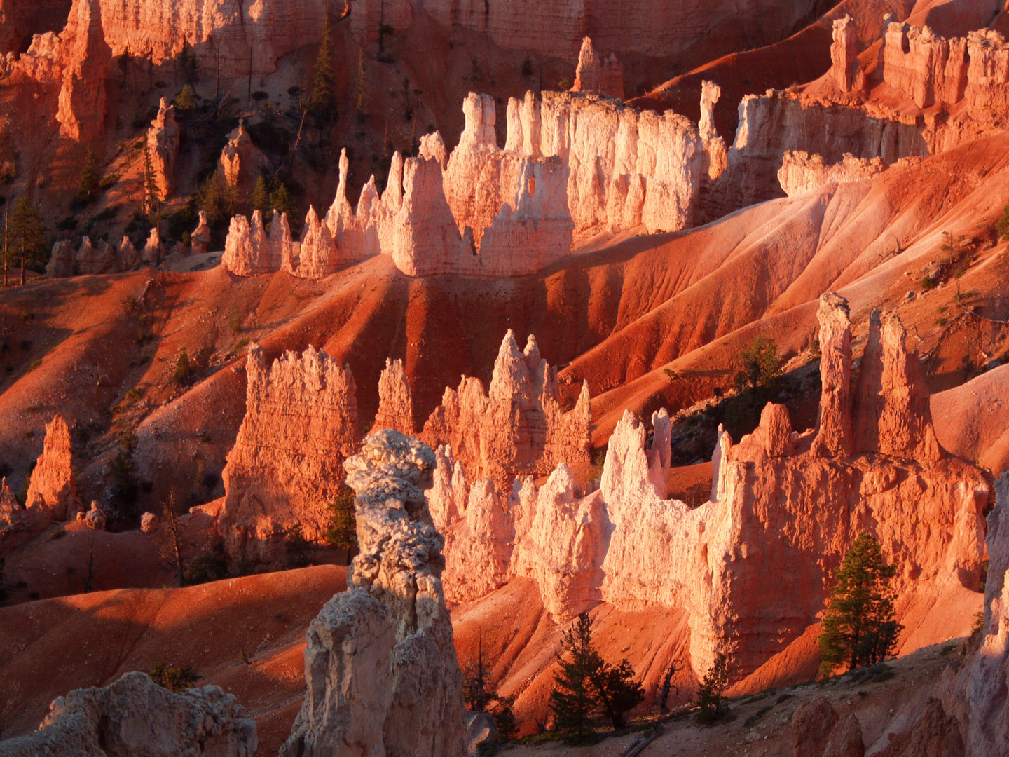 Bryce Canyon